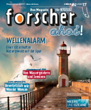 Wellenalarm - Cover der Ausgabe  04_2017